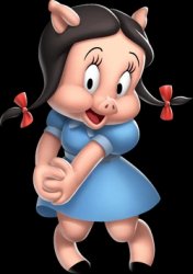 Cute Petunia pig (artwork looney tunes) Meme Template