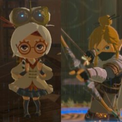 Being short: Zelda edition Meme Template