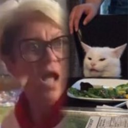 Catturd and Phillies Karen Meme Template