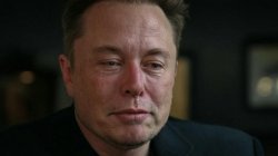 Crying Elon Meme Template