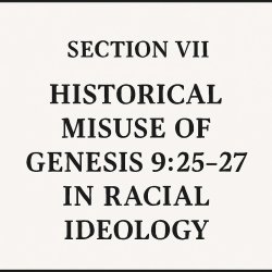 Section VII: Historical Misuse of Genesis 9:25–27 in Racial Ideo Meme Template