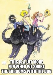 Freak Brothers riding an Armadillo Meme Template