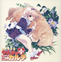 yaeka no karte Meme Template