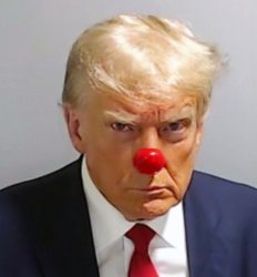 Clown Trump Meme Template