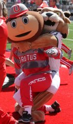 Bobcat Assaults Brutus Meme Template
