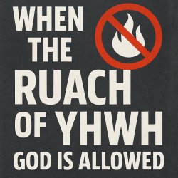 WHEN the RUACH of YHWH Gd is NOT ALLOWED Meme Template