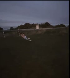 Messi temu version? Meme Template