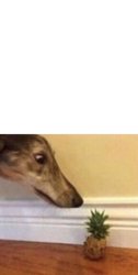 Borzoi Elements Meme Template