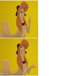 Dixie Aka Reba McEntire Terry's Meme Meme Template