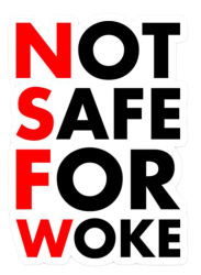 NSFW Woke Meme Template