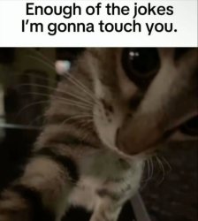 Enough of the jokes, I'm gonna touch you Meme Template
