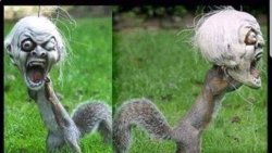 Chrisjoines1 Meme Template