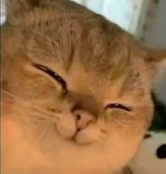 smile cat Meme Template