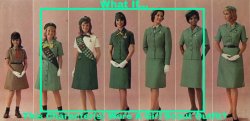 What If Character Wore A Girl Scout Outfit Blank Meme Template