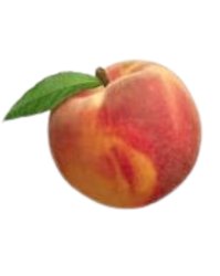 The peach Meme Template