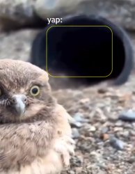 Parannouncements lazy Meme Template