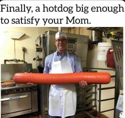 Hotdog Meme Template