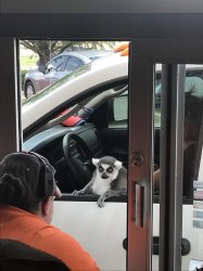 katta drive in Meme Template