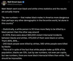 Black on White Crime Stats Meme Template