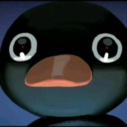 noot Meme Template