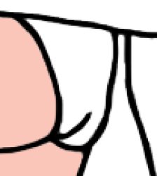 Dorothy Gale's White Underwear Meme Template