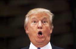 You are hired Meme Template