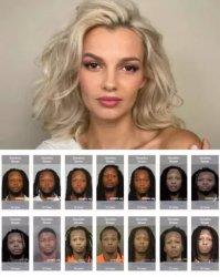 Irina Zarutska & DeCarlos Brown Meme Template