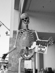 HD Skelly Meme Template