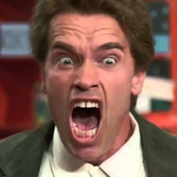 PUT DA TOY BACK TO DA CARPET Meme Template