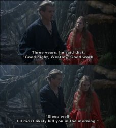 princess bridge Meme Template