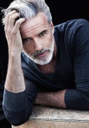 Silver fox Meme Template