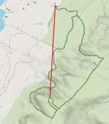 Tranq cracks Meme Template