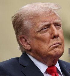 Trump Stroke 25th Amendment Meme Template