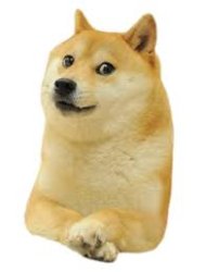 Doge Meme Template