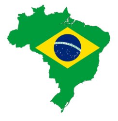 Brasil Meme Template