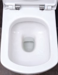 inside toilet Meme Template