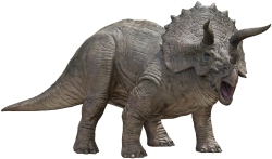 Triceratops 9 Meme Template