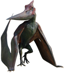 Pteranodon 6 (JW Design) Meme Template