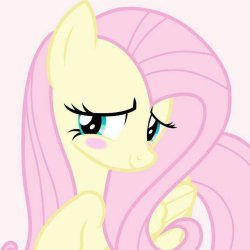 mlp Meme Template