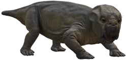 Lystrosaurus 5 Meme Template