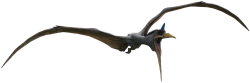 Quetzalcoatlus 5 (JWD Design) Meme Template