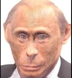 monkey putin Meme Template