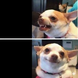 Pitiful de internet Meme Template