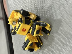 Bumblebee sit Meme Template