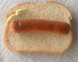 Hot dog Meme Template