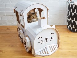 cat train Meme Template
