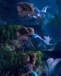 halle swimming Meme Template