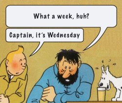 Captain it's wednesday Meme Template