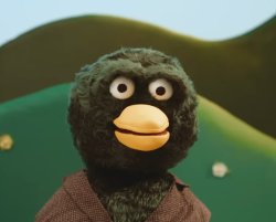 Duck staring at you without context Meme Template