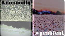 xoxosilly and yeahfent template Meme Template